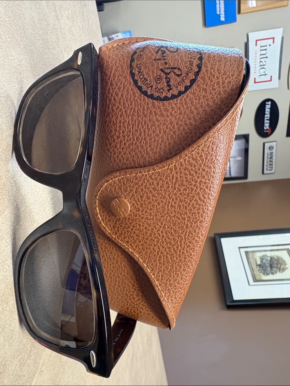 Ray-Ban Black Frame Sunglasses with Brown Case